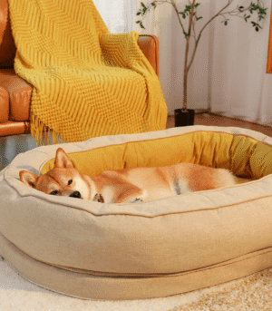 Donut Orthopedic Dog Bed