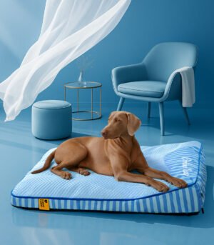 Extra Large Cooling Washable Rectangle Orthopedic Dog Bed - Cooling Nap