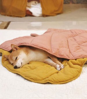 Leaf Shape Dog Blanket