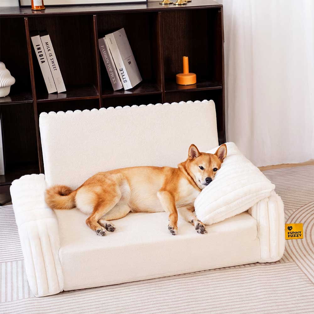 Creamy Fluffy Orthopedic Human-Dog Bolster Bed - Expandable Comfort - Image 4