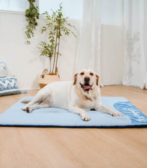 Large Washable Cooling Non-slip Dog Mat - Cooling Nap