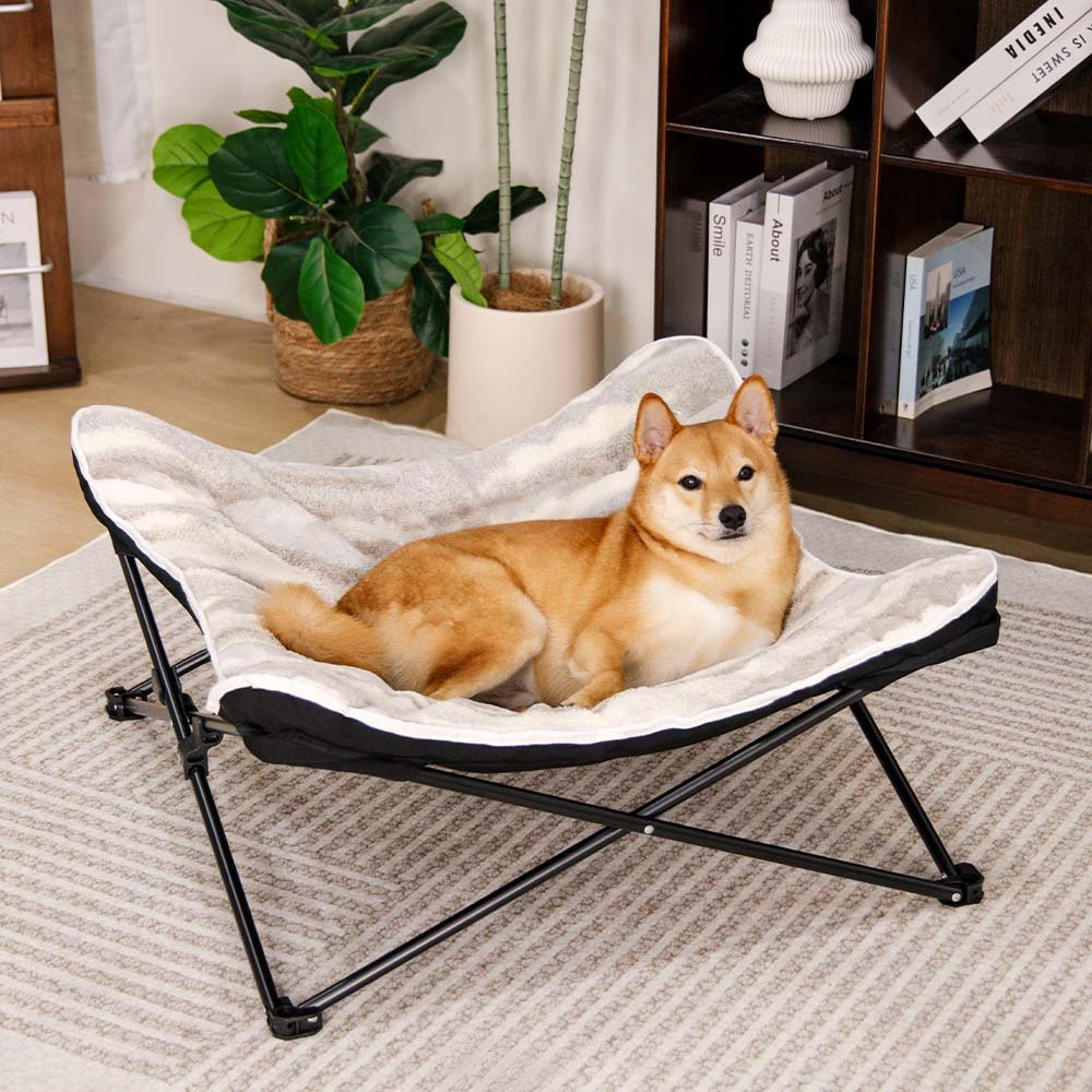 Foldable Elevated Portable Outdoor Camping Dog & Cat Bed