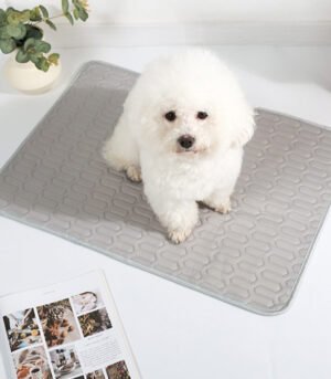 Cooling Washable Non-Slip Breathable Ice Silk Dog & Cat Mat
