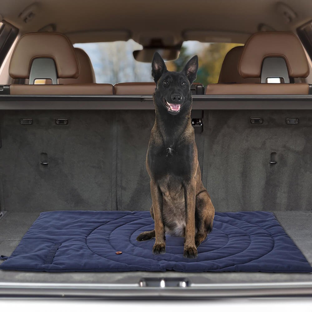 Foldable Waterproof Portable Dog Car Seat Mat Dog Camping Mat - Image 9