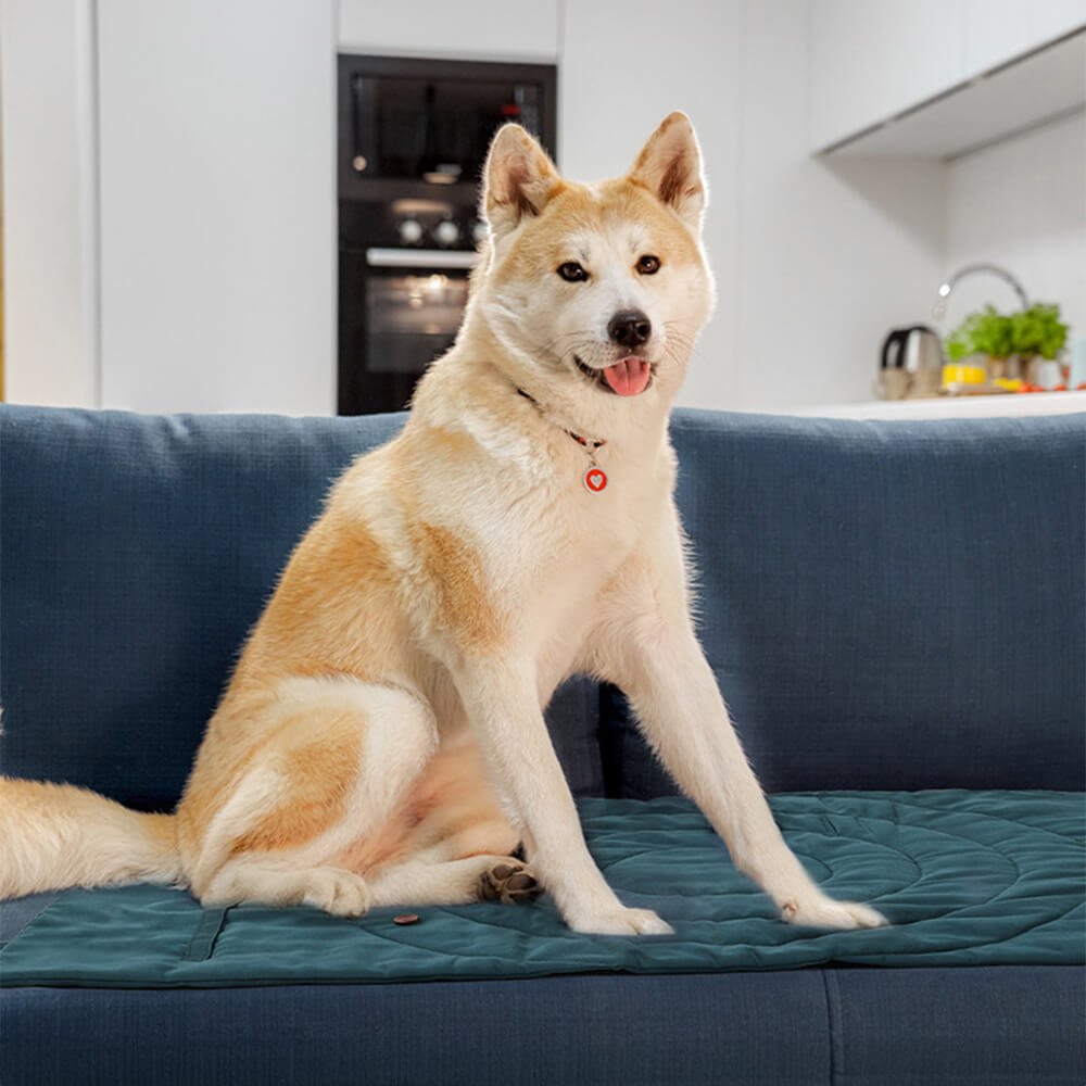 Foldable Waterproof Portable Dog Car Seat Mat Dog Camping Mat - Image 8