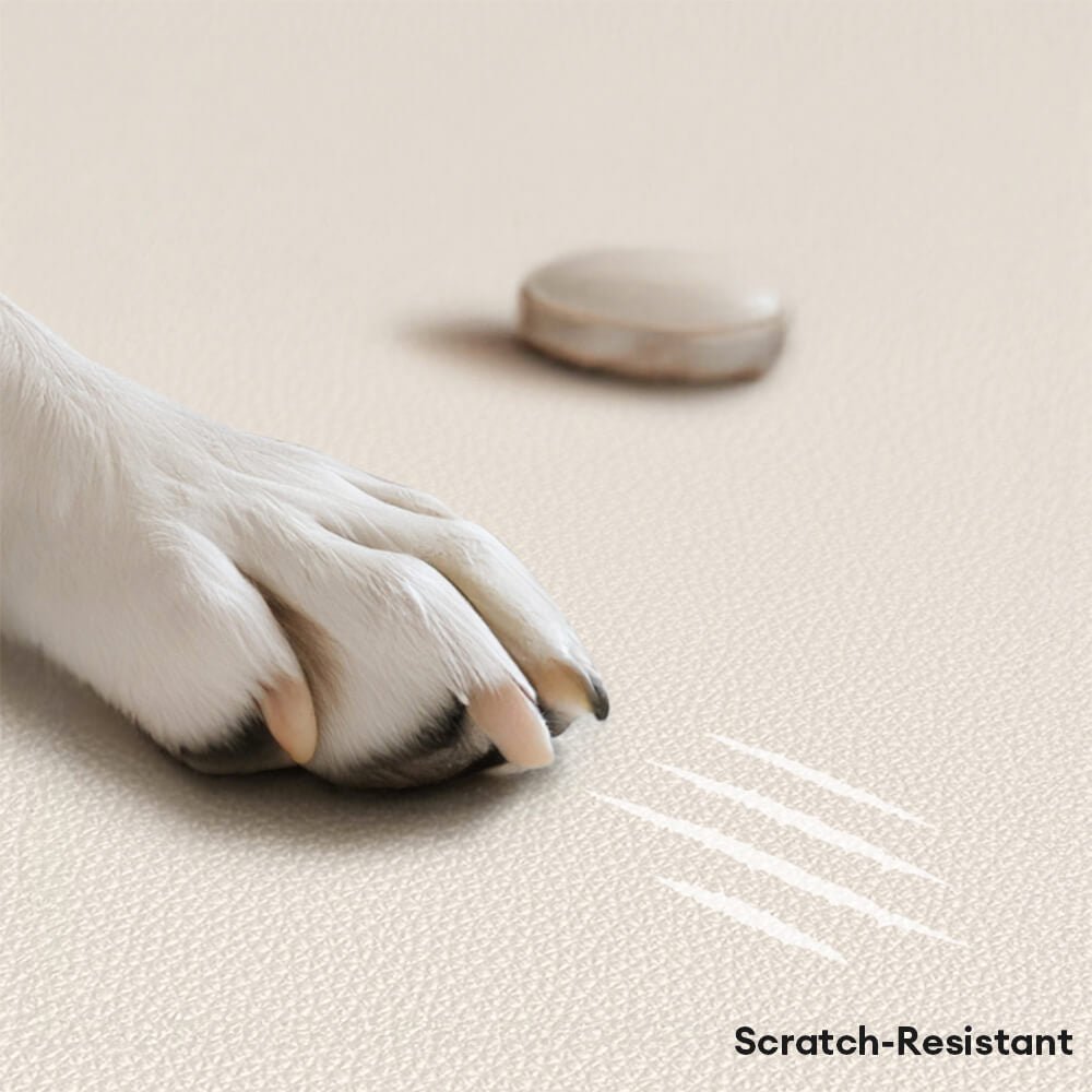 Luxury Natural Latex Supportive Anti-Scratch Dog & Cat Sofa Bed - Image 2