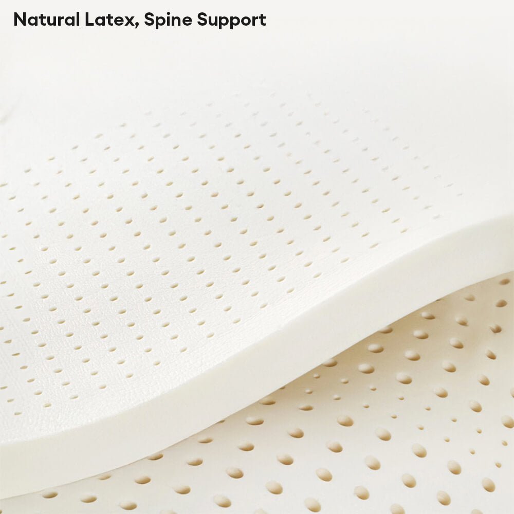 Luxury Natural Latex Supportive Anti-Scratch Dog & Cat Sofa Bed - Image 4