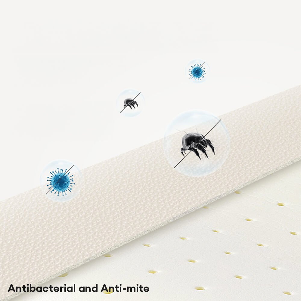 Luxury Natural Latex Supportive Anti-Scratch Dog & Cat Sofa Bed - Image 6