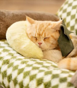 Fashion Cute Cozy Pet Pillow