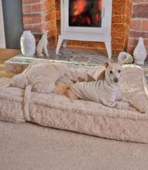 Warming Fluffy Bone Cloud Shape Calming Dog Bed