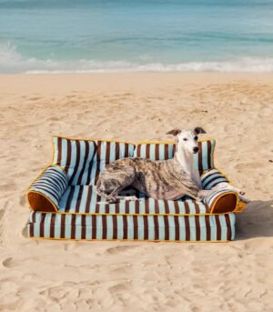 Stripe Waterproof Foldable Large Dog Sofa Bed - Sunny Siesta