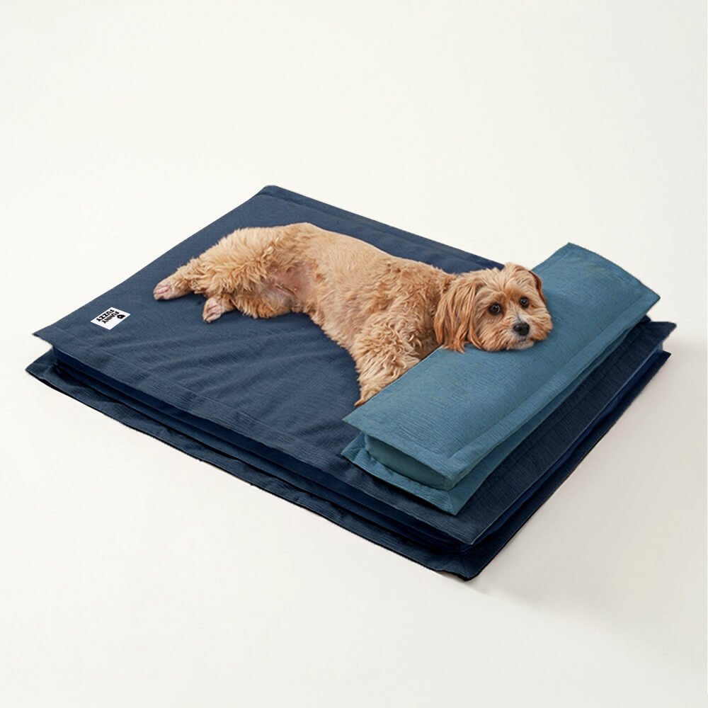 Anti-Anxiety with Sponge Support Deep Sleeping Dog Bed - Image 22