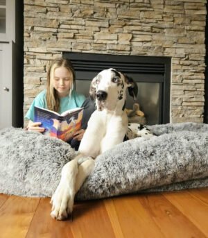 Luxury Super Large Sleep Deeper Oval Bed With Blanket